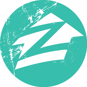 huge green circle with image of a white house and letter Z in the middle shown as Zillow logo